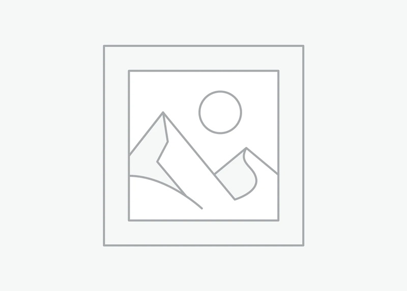 كتاب المقدس العائلة اللغة العربية